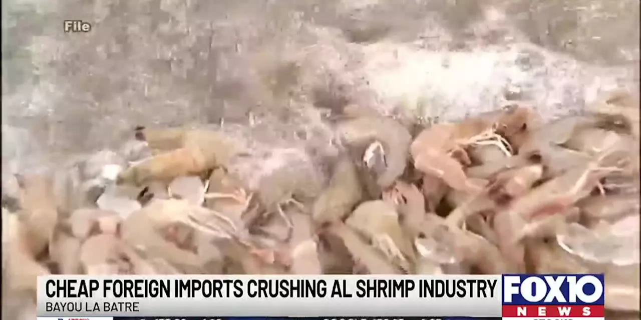 Senate bill would make it easier to punish illegal shrimp ‘dumping’