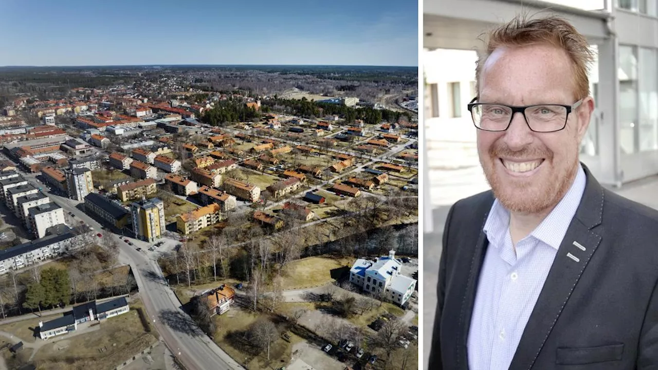 Experternas diss av politikernas skyhöga mål