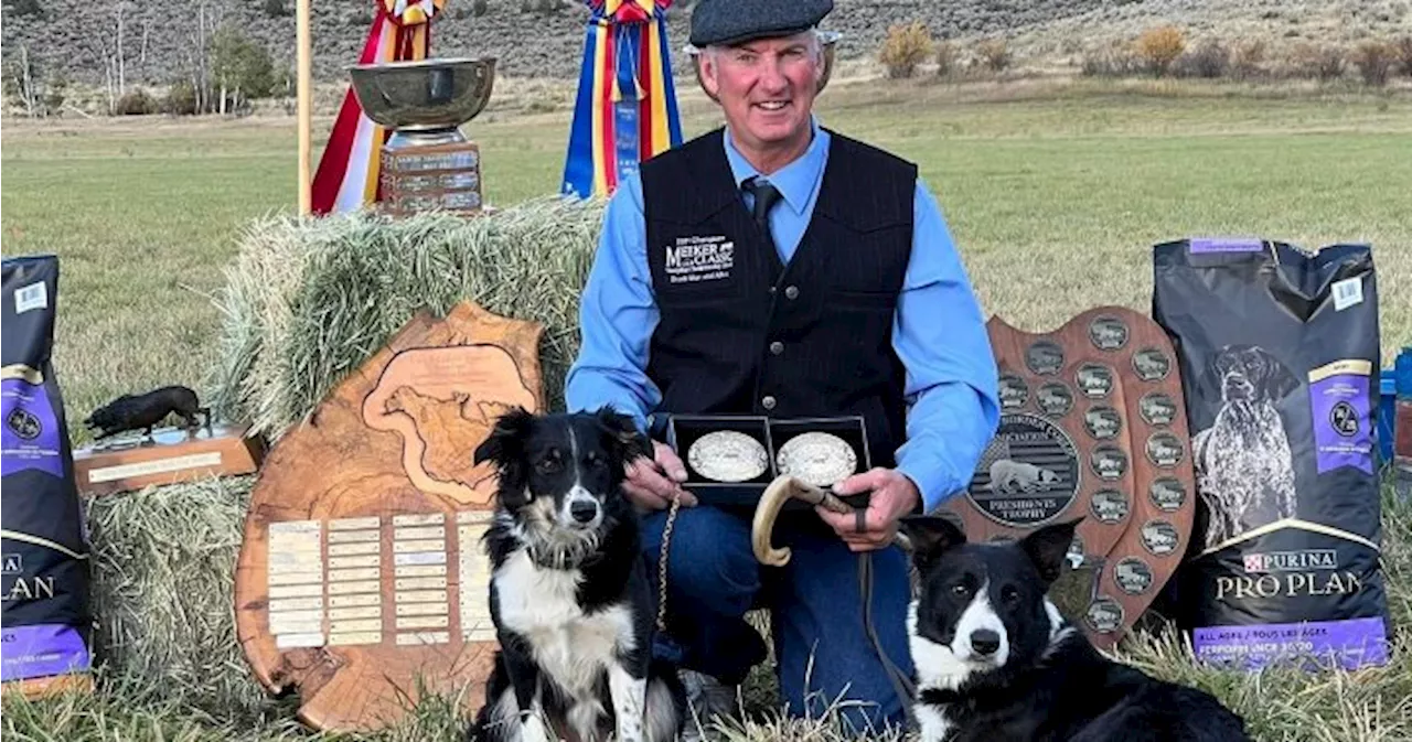 Southern Alberta stock dog trainer inducted into Border Collie Hall of Fame