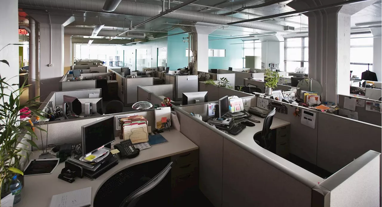 Early Addition: Should we turn empty offices into dorms for Zoomers?