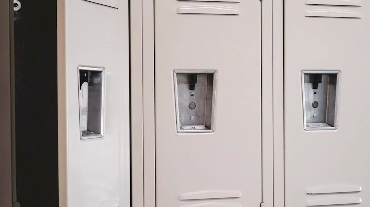 Leveraging Smart Lockers as Effective IT Asset Management Systems: A Brief Overview