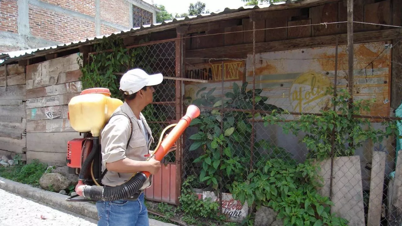 Chinches en la casa: ¿cuánto cuesta fumigar contra estos insectos en México?