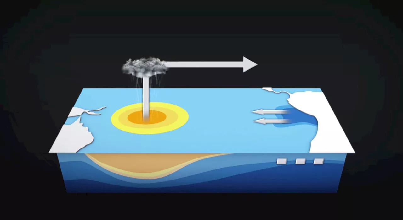 El Niño, la video animazione che spiega il fenomeno