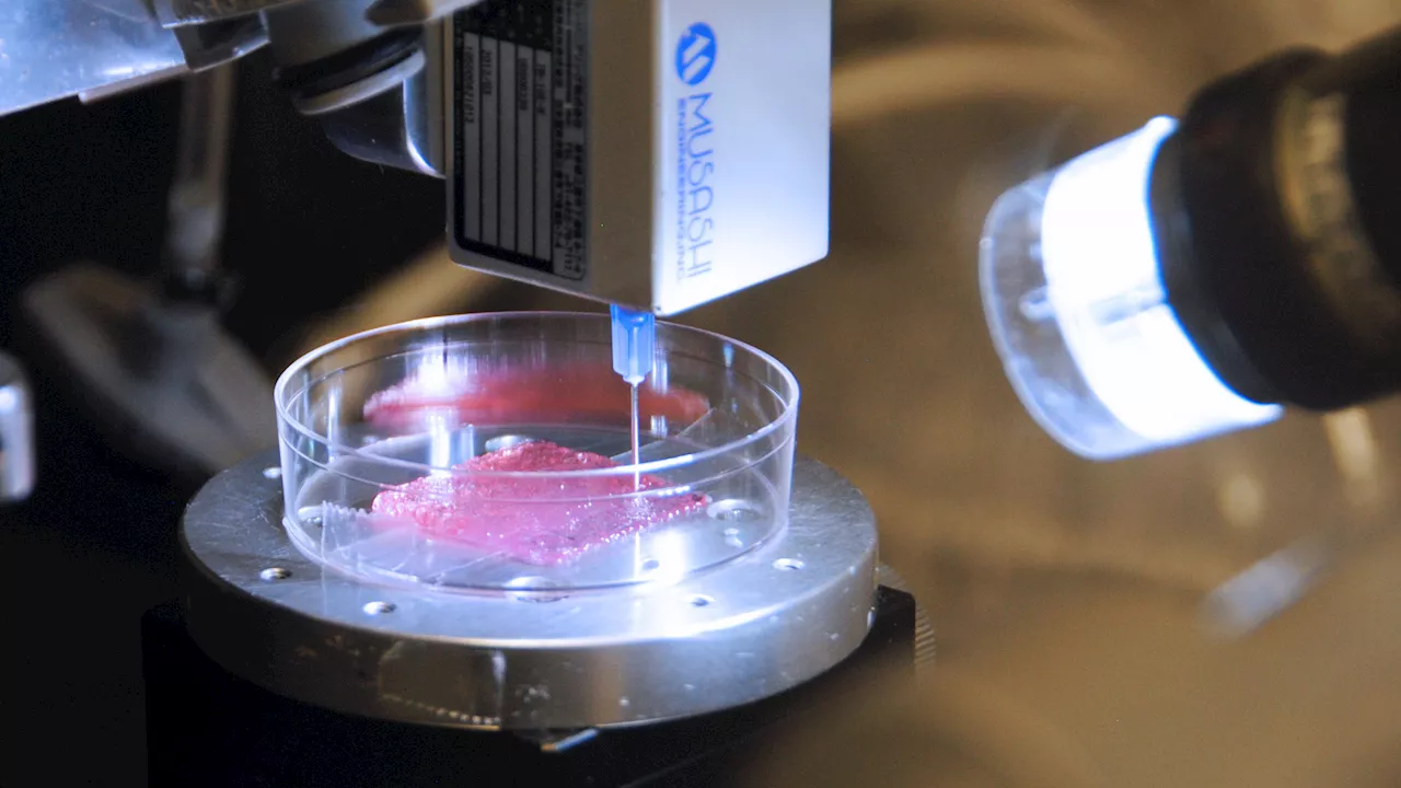 New bioprinted skin can heal skin injuries and burns in humans