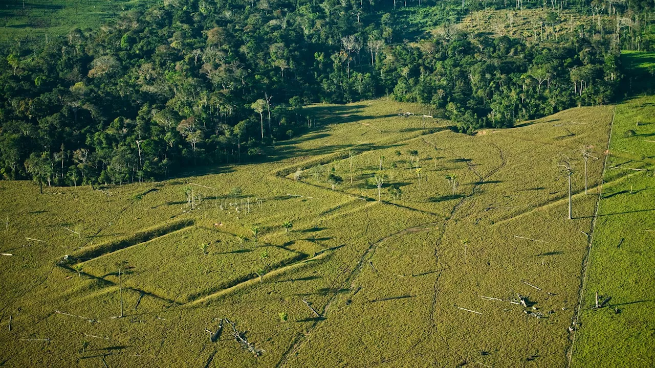 Researchers find over 10k pre-Columbian sites in the Amazon