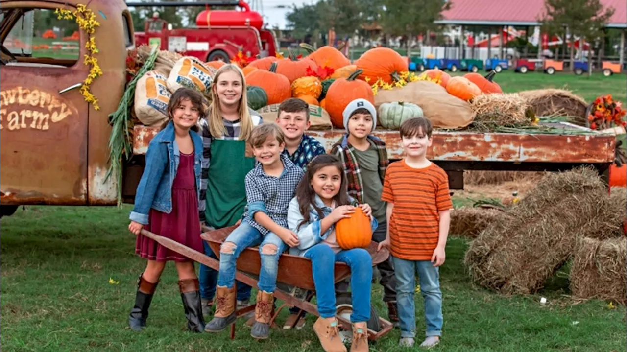 List: Top pumpkin patches in the Greater Houston area