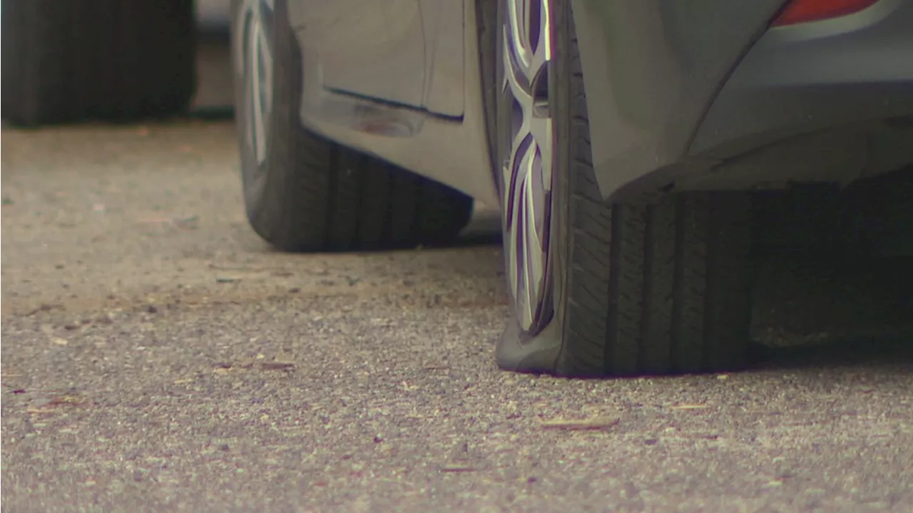 Tire slashings reported across multiple south Seattle neighborhoods