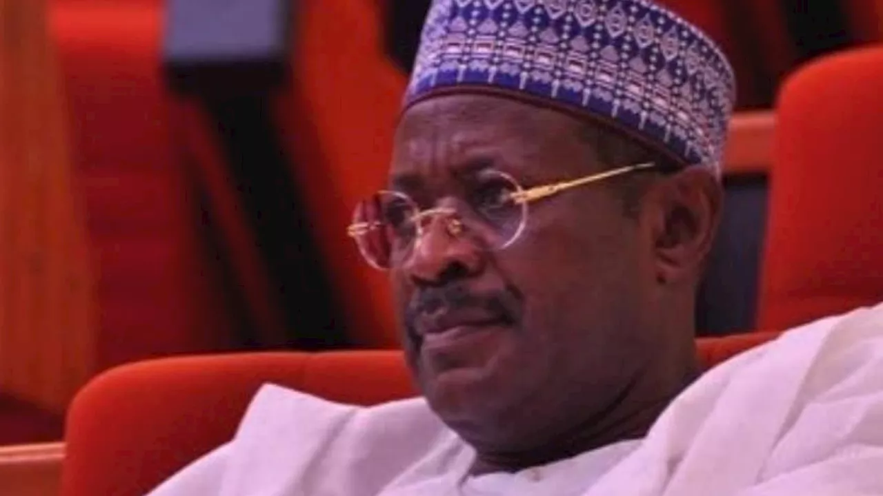 Nigeria Project Is Working, Requires Patriotism From All \u2014 Senator Sankara