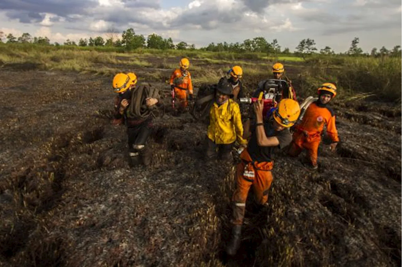 GAPKI Dukung Tim Satgas Karhutla Berjibaku Padamkan Api di Kalsel