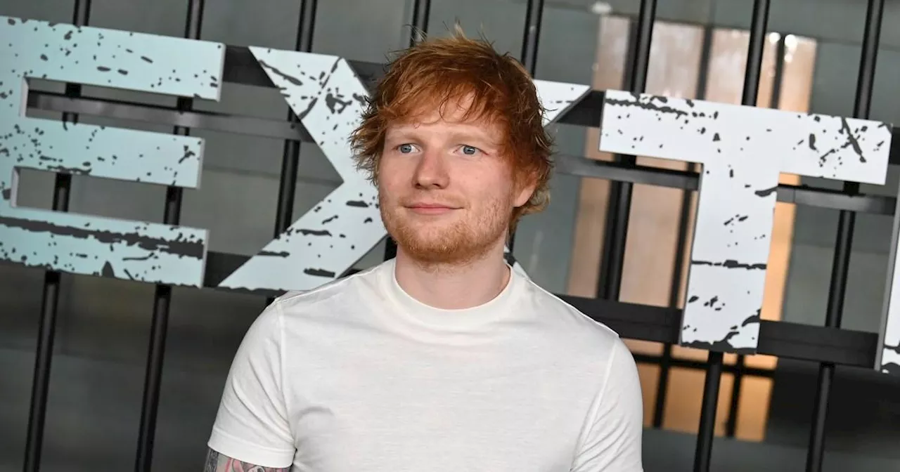 Ed Sheeran has already dug his own grave – and it\u2019s in his back garden\u00a0