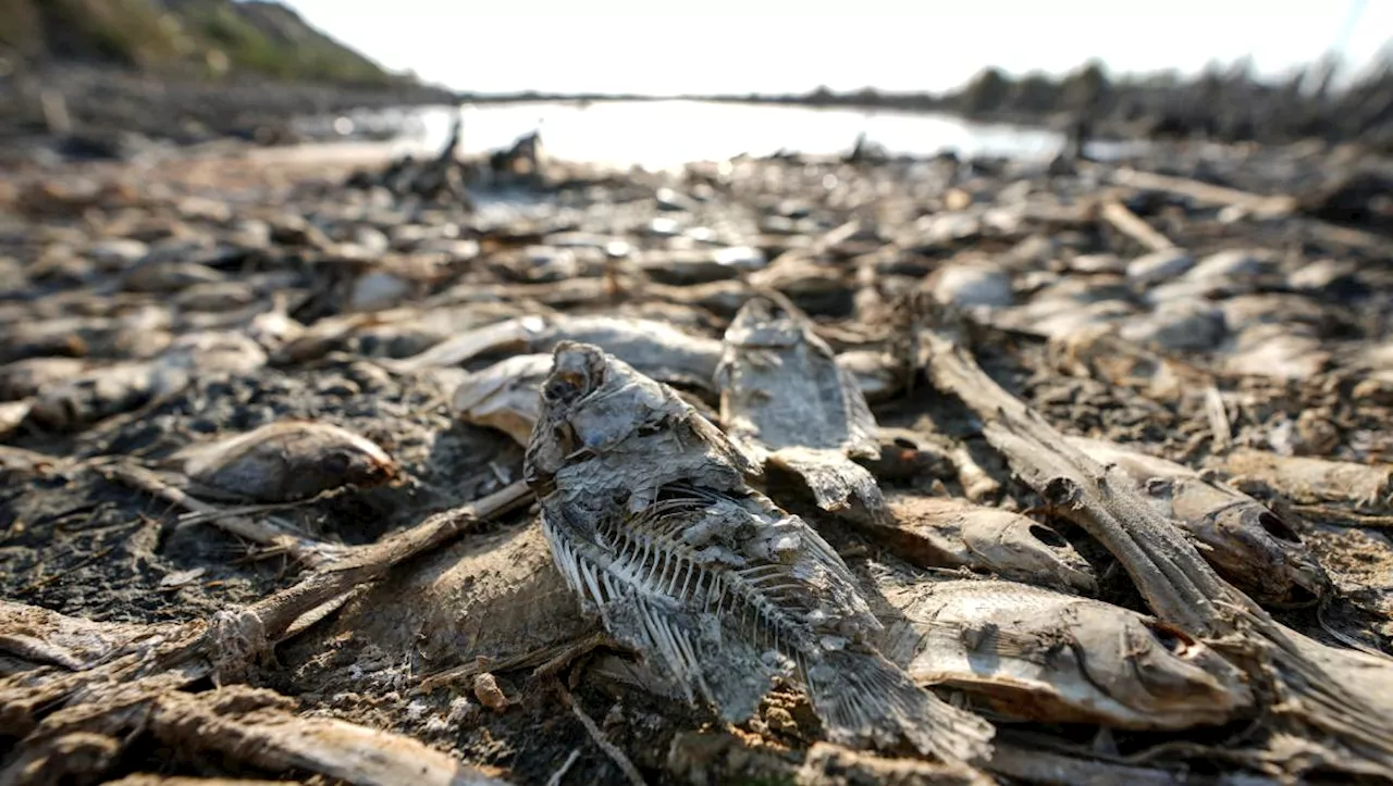 Brasil promete más recursos para luchar contra la sequía en Amazonas