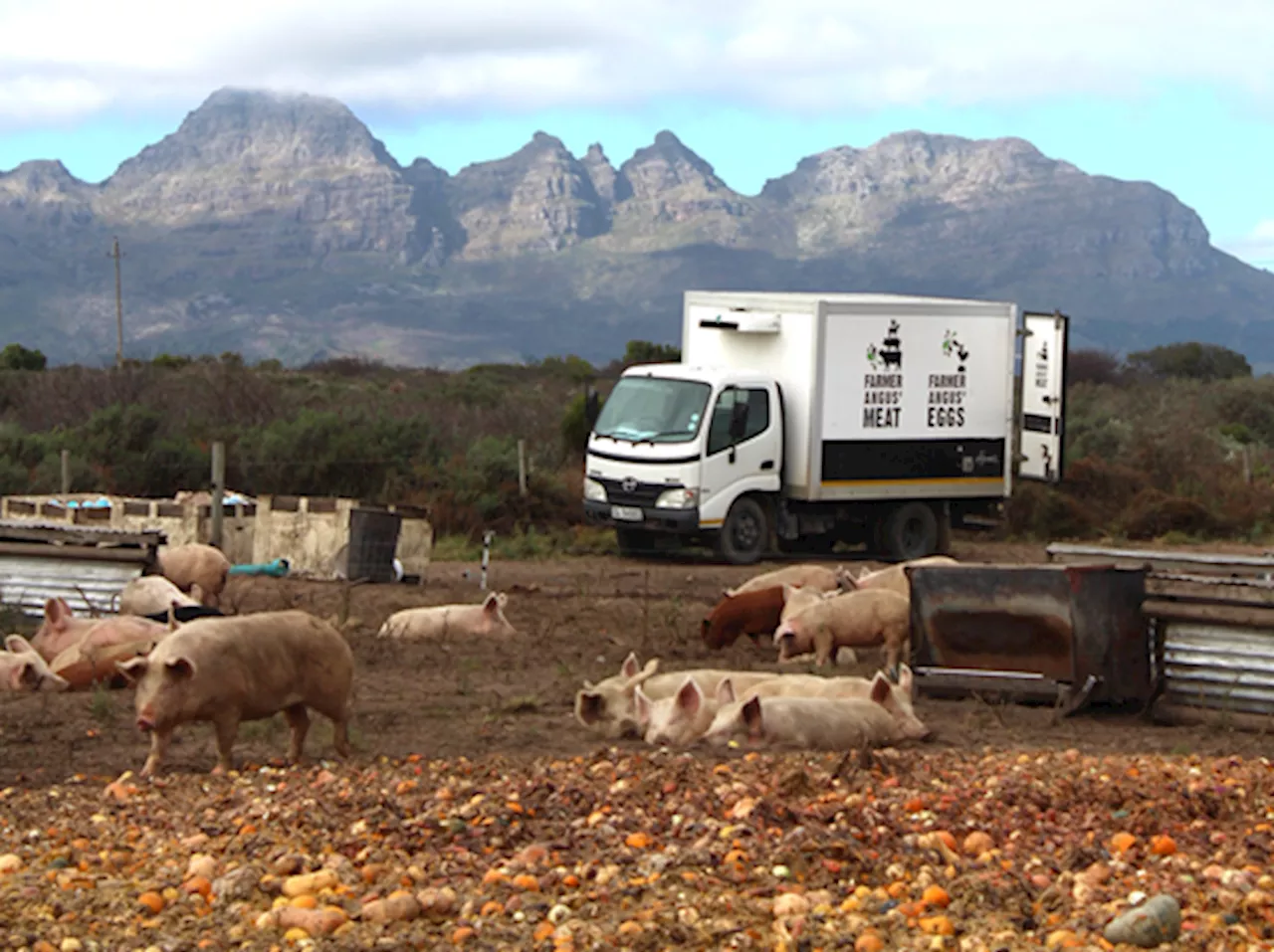 Pick n Pay’s new pilot project takes aim at food waste