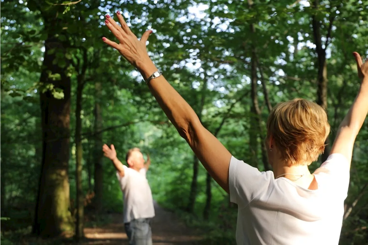 Forest Bathing for Health: How Nature Nurtures Wellbeing