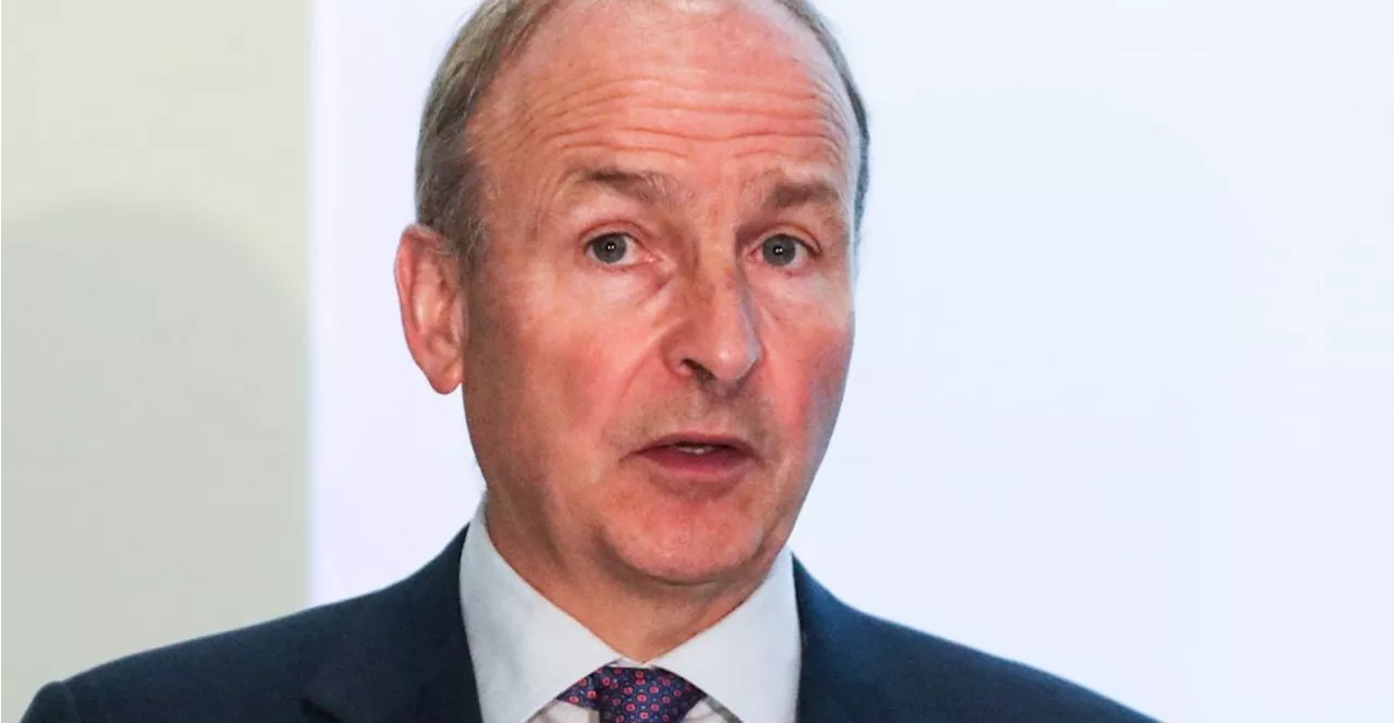 False claims by far right 'has to be challenged' - Tánaiste Micheál Martin