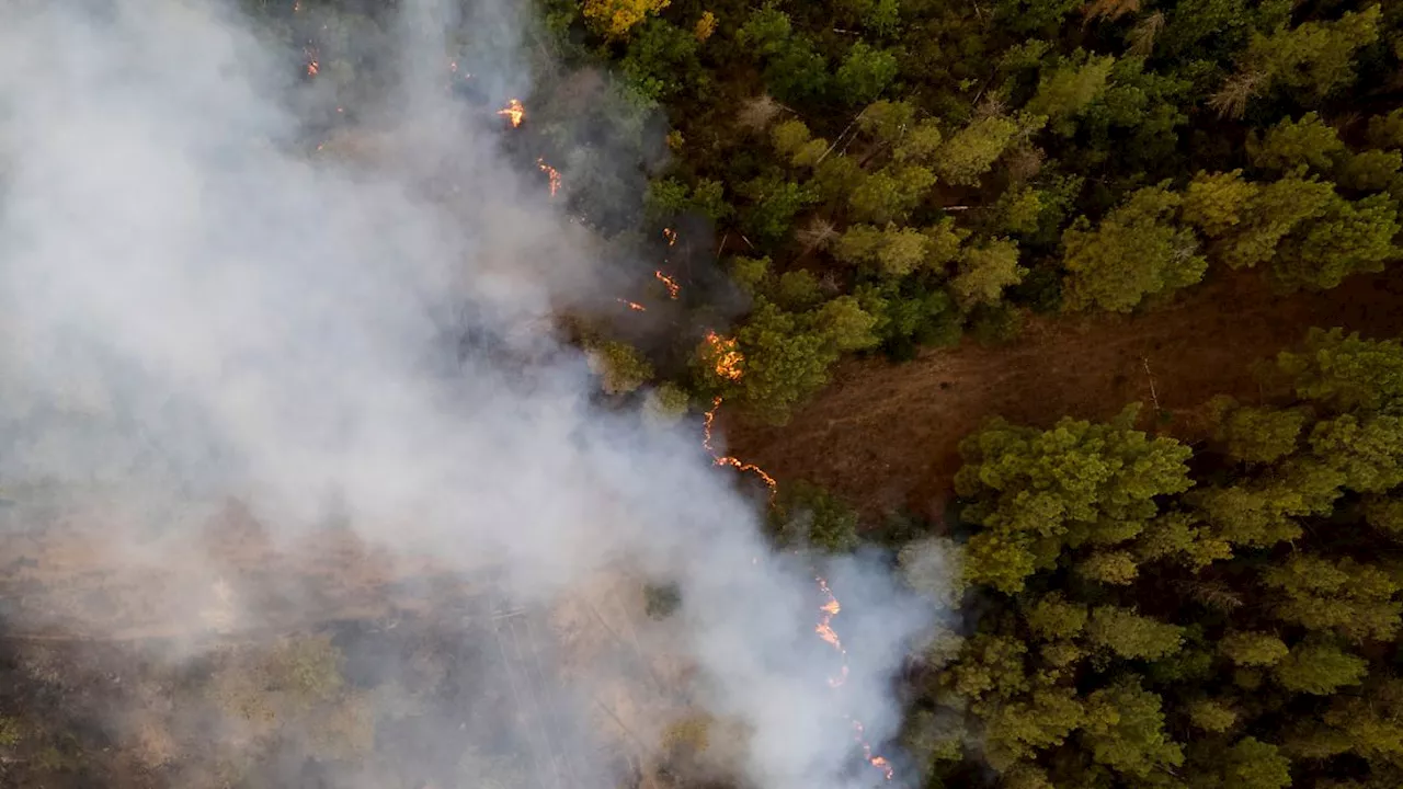 Hitzewelle löst erneut Feuer aus: Tausende Menschen fliehen vor Waldbrand auf Teneriffa