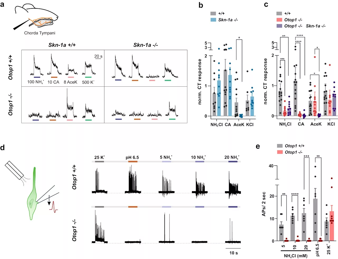 Scientists unlock the secrets of a sixth basic flavor