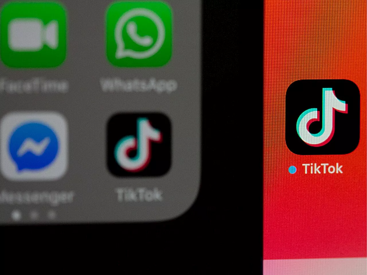 TikTok may help farmers cultivate empathy around climate change