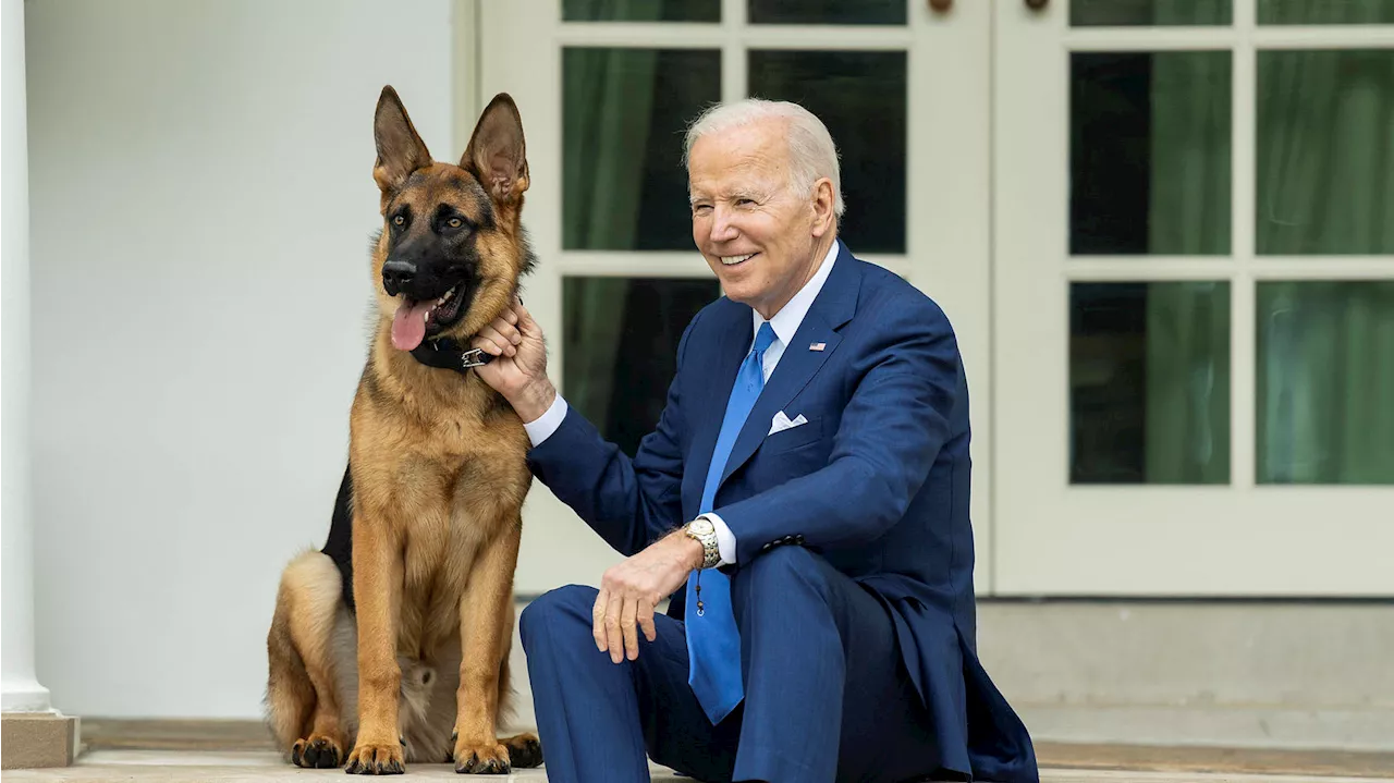 Bidens deutscher Beißer muss ausziehen