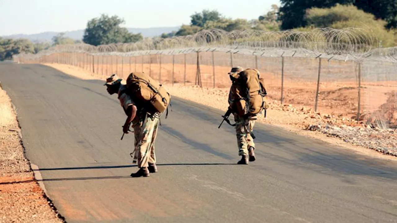 Over 140 smuggled vehicles recovered: Motsoaledi - SABC News - Breaking news, special reports, world,