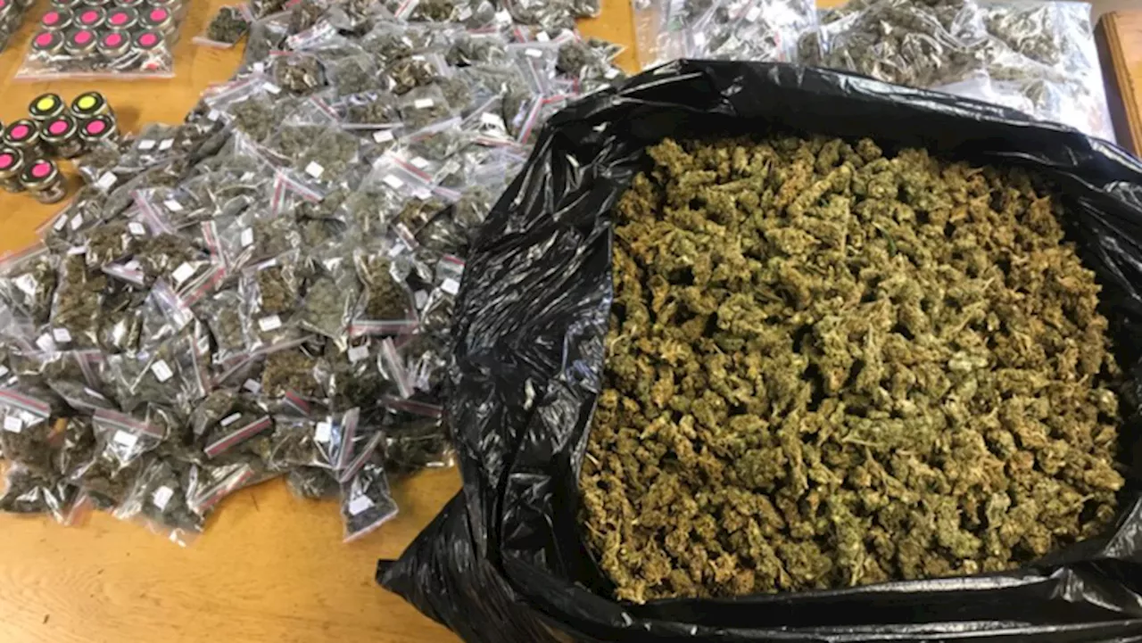 Police intercept dagga worth R3 million along N4 freeway - SABC News - Breaking news, special reports,