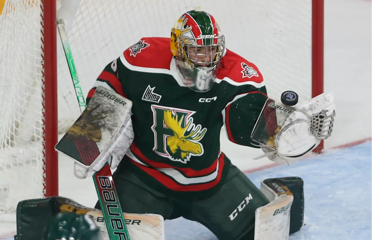 Mooseheads and Eagles appear primed for a fierce season\u002Dlong battle