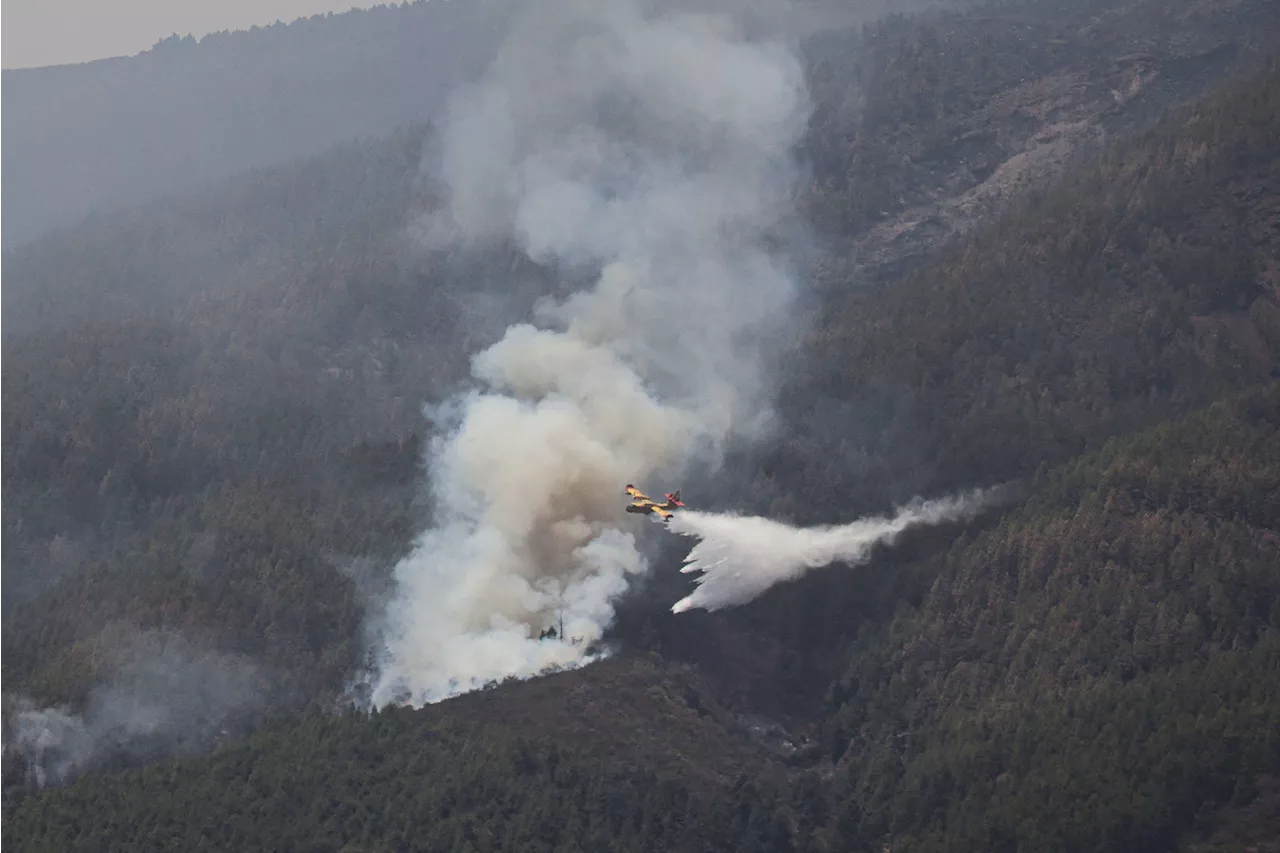 Thousands evacuated on Spain\u0027s Tenerife as summer wildfire re\u002Dignites