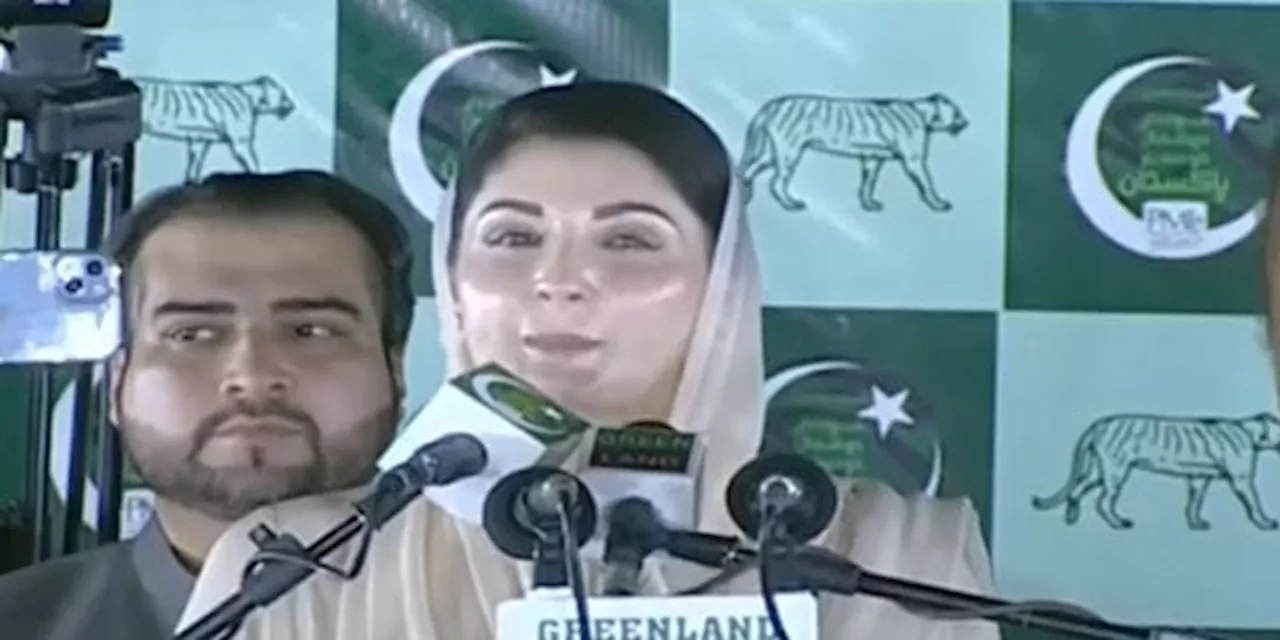 Maryam Nawaz sees Nawaz Sharif as country’s saviour