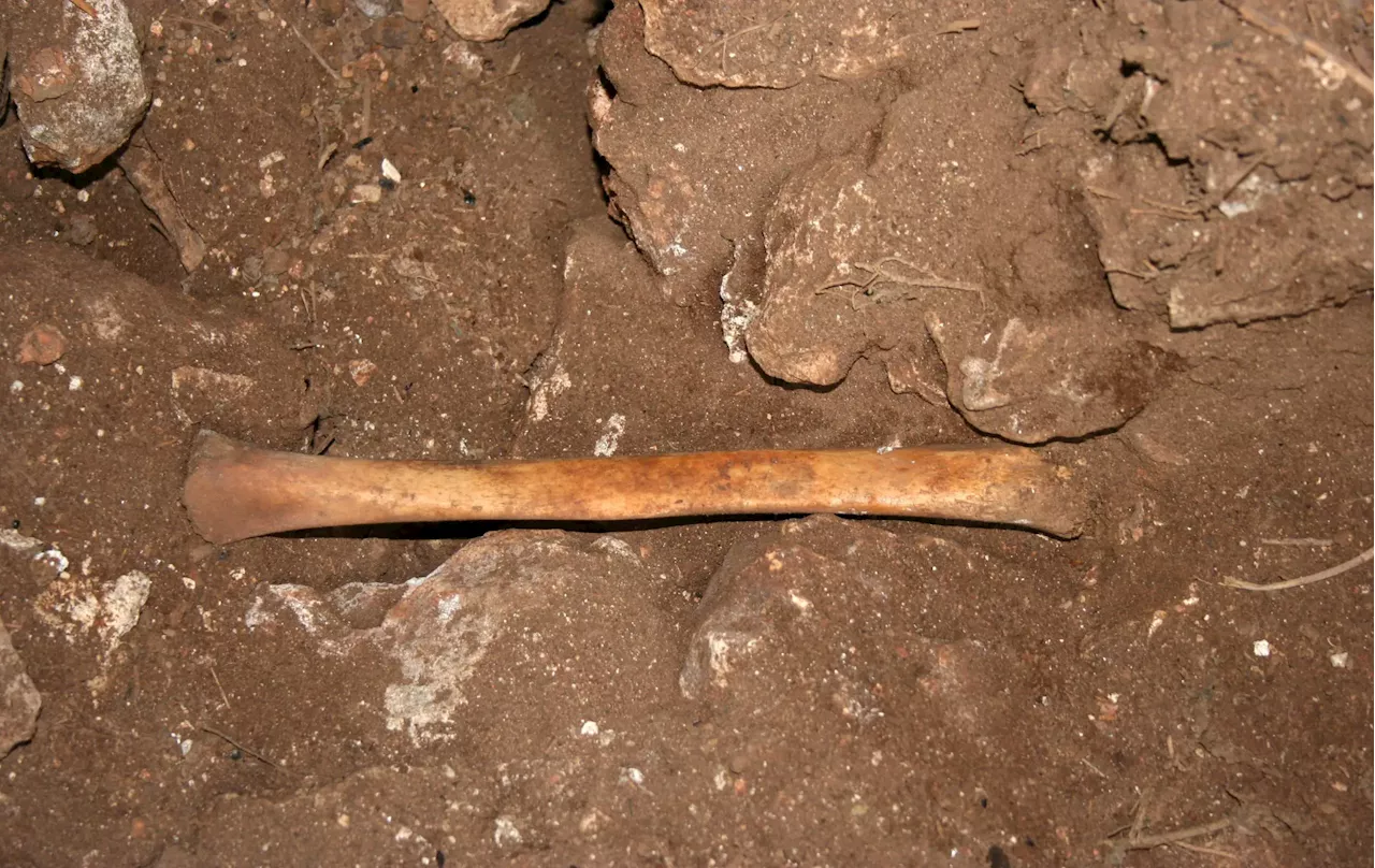 Manipulated and Utilized: The Tale of Ancient Human Remains in Spanish Caves