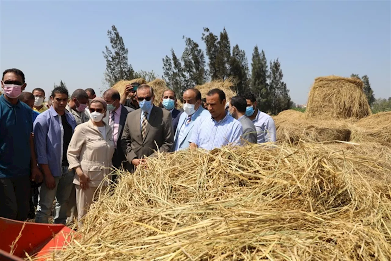 معاون محافظ كفر الشيخ يتابع أعمال جمع وكبس قش الأرز