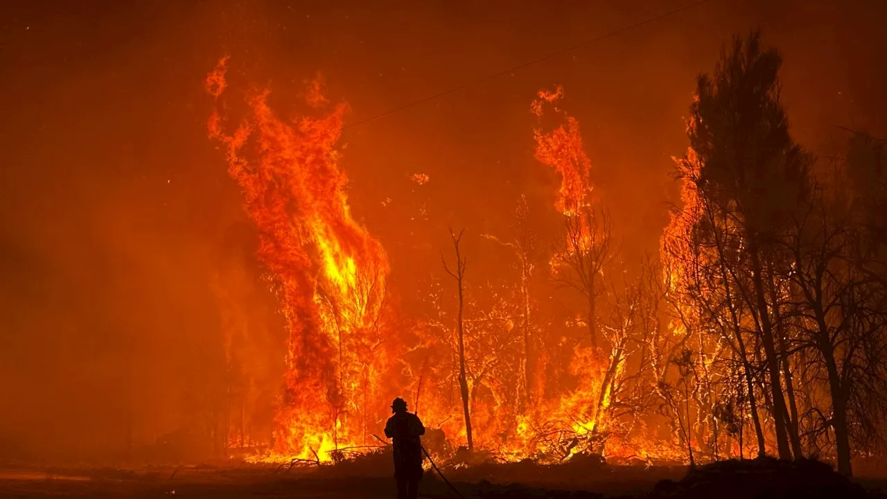 Alarm sounded over lack of prescribed burning ahead of scorching fire season