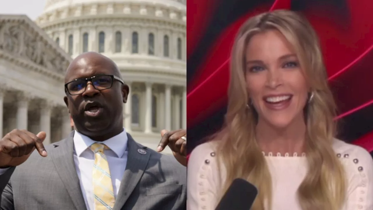 Megyn Kelly roasts ‘dumb’ Democrat denying fire alarm pull to delay vote