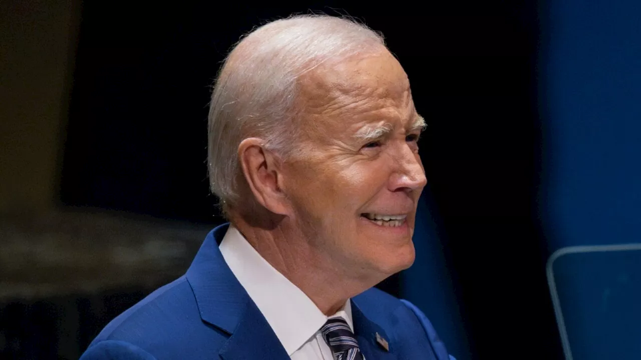 Why Joe Biden won&#8217;t run in the next US election: James Morrow