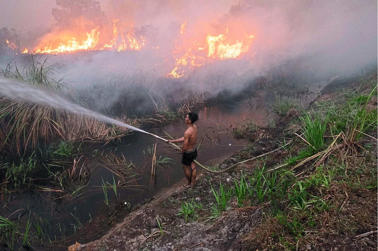 Schools close over peatland fire haze