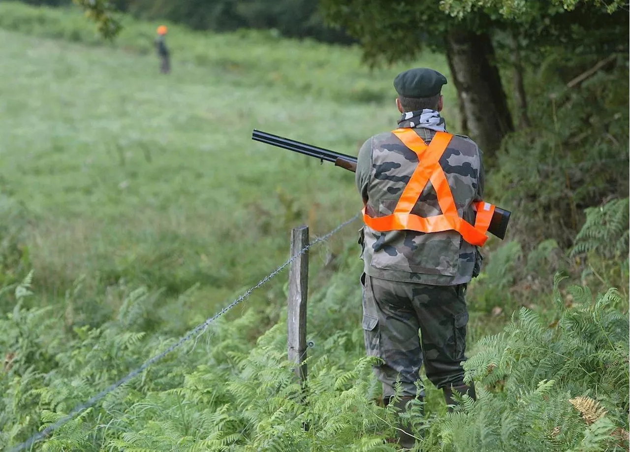 Charente-Maritime : la justice a tranché, il n’y aura pas de suspension de la chasse