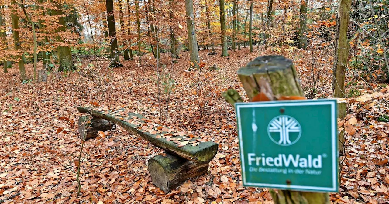 Friedwald in St. Ingbert: Das sind die Pl\u00e4ne