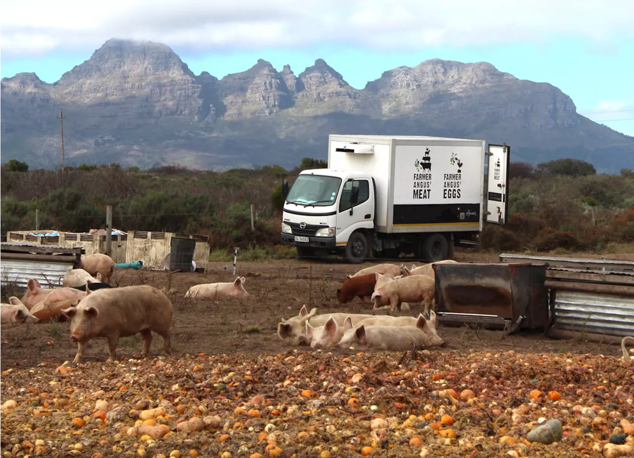 Pick n Pay pilots first zero-waste supermarket store in Cape Town