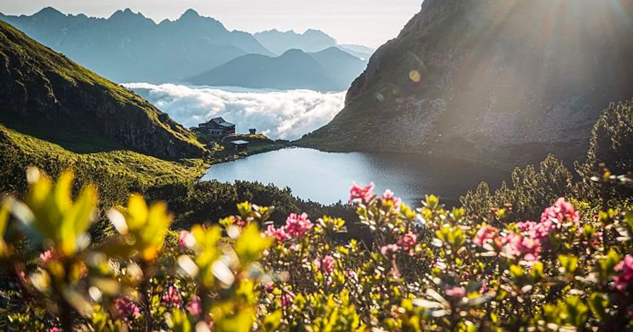 Finalisten stehen fest: Pillerseetal vertritt Tirol im Rennen um den „Schönsten Platz Österreichs“