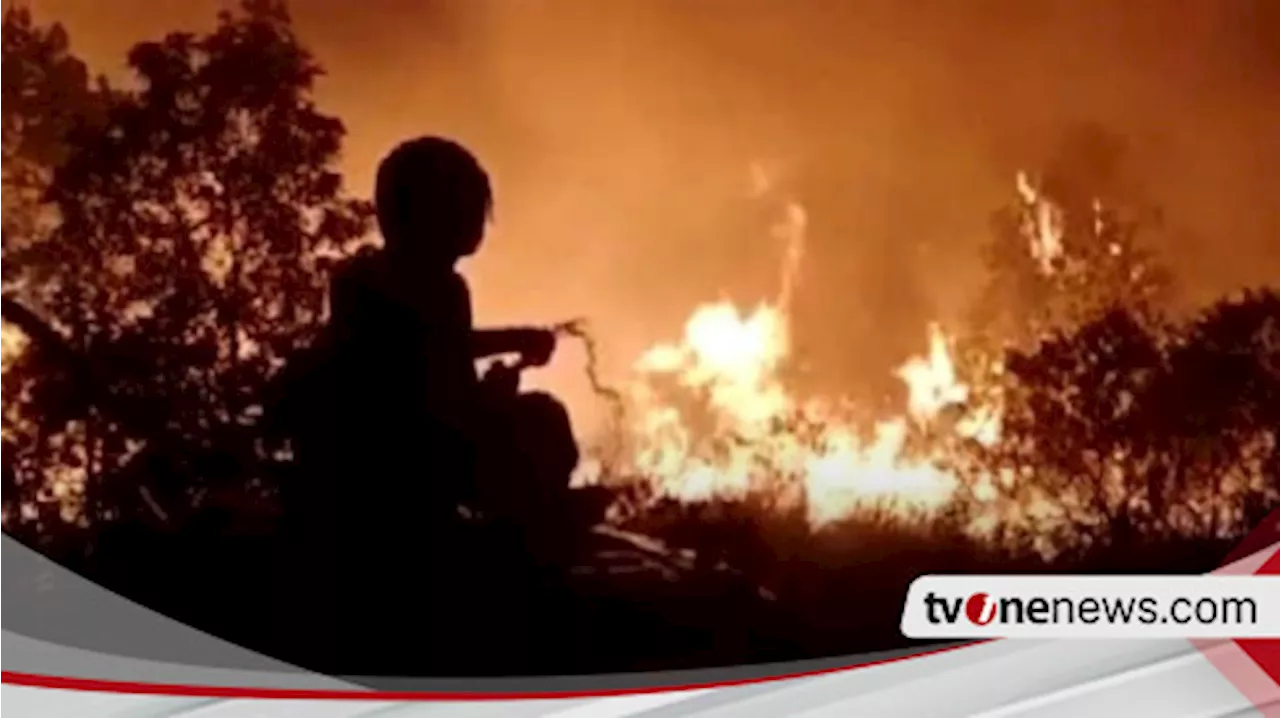 Kebakaran Lahan Taman Nasional Way Kambas Lampung\u00a0Diduga Akibat Ulah Pemburu Liar