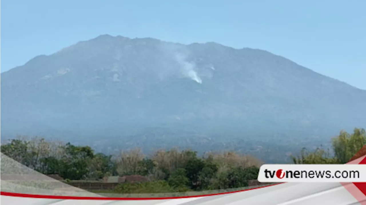 Water Bombing Dinilai Efektif Padamkan Kebakaran Hutan, Titik Api di Gunung Lawu Mulai Berkurang