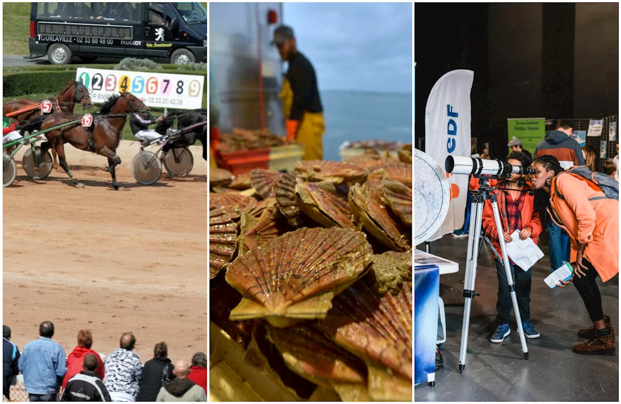 Que faire dans la Manche ce dimanche 8 octobre ? Voici nos bonnes idées de sorties | La Presse de la Manche