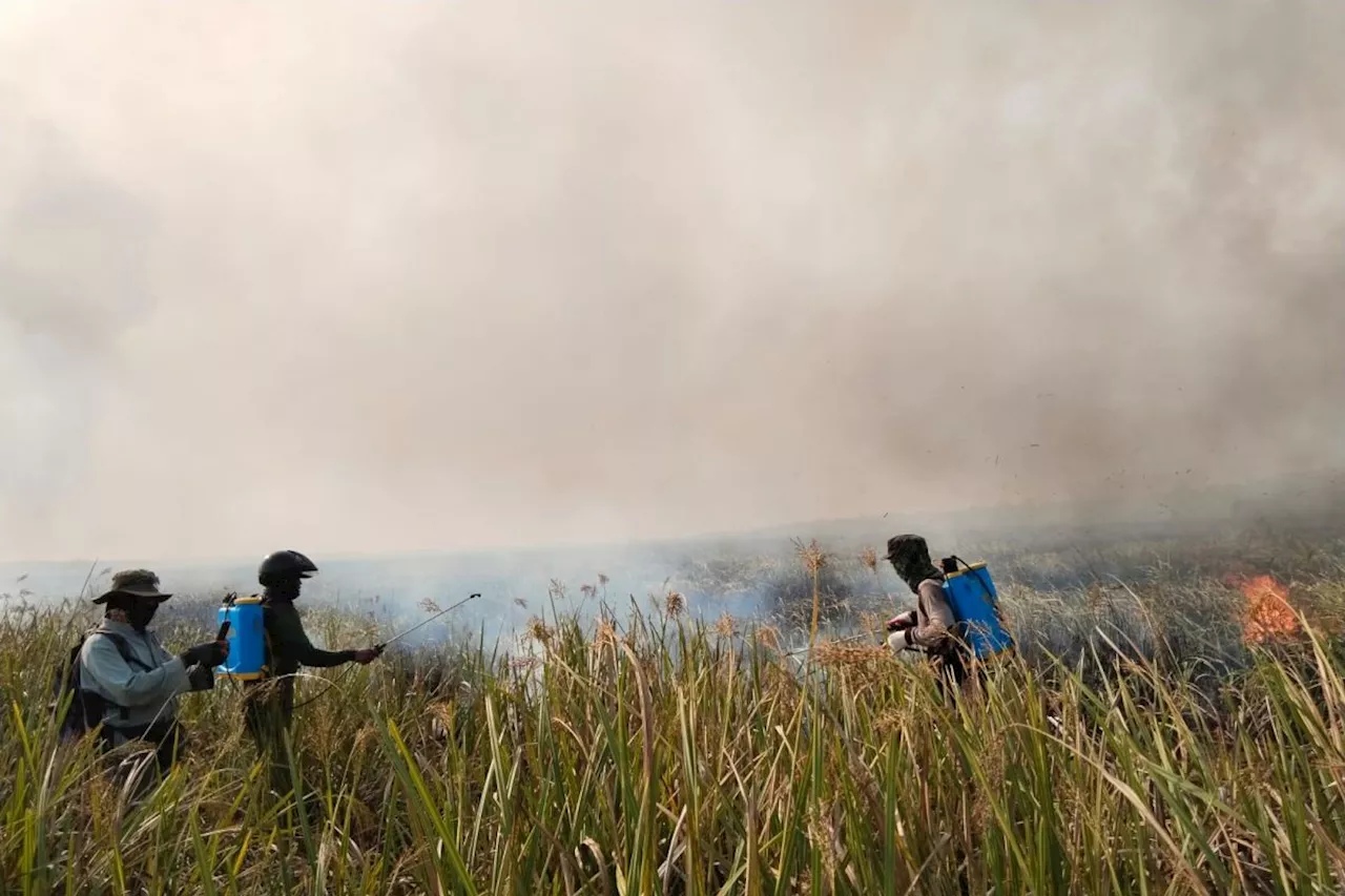 Petugas masih sisir titik berpotensi timbulkan kebakaran di TNWK