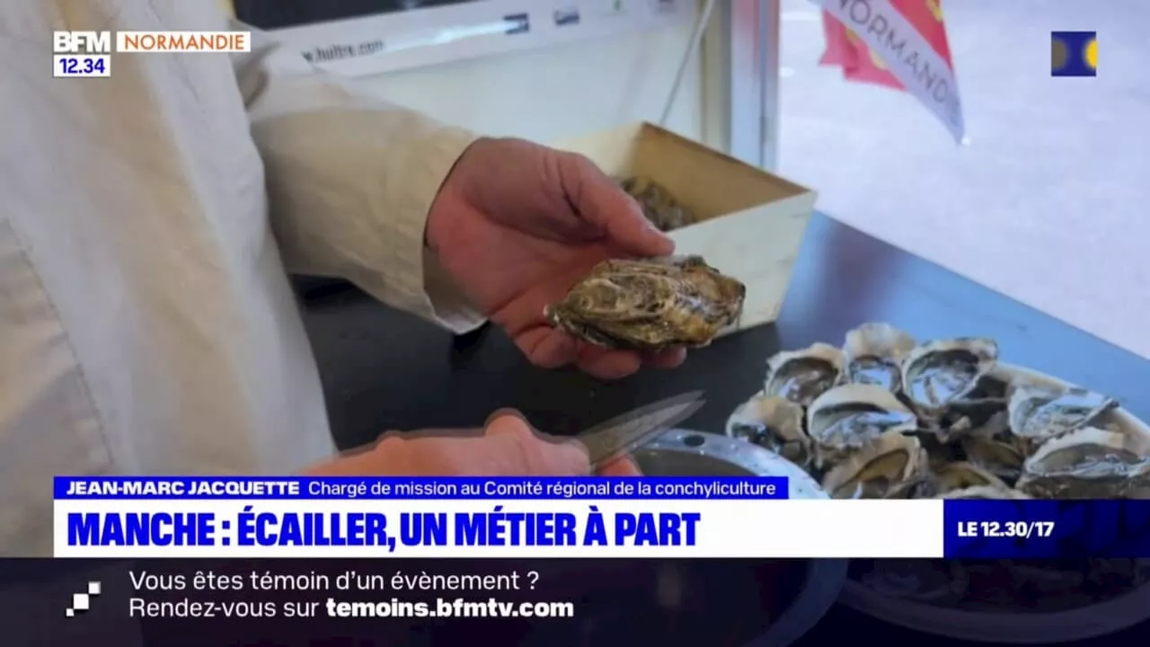 Manche: préparer les fruits de mer, tout un métier