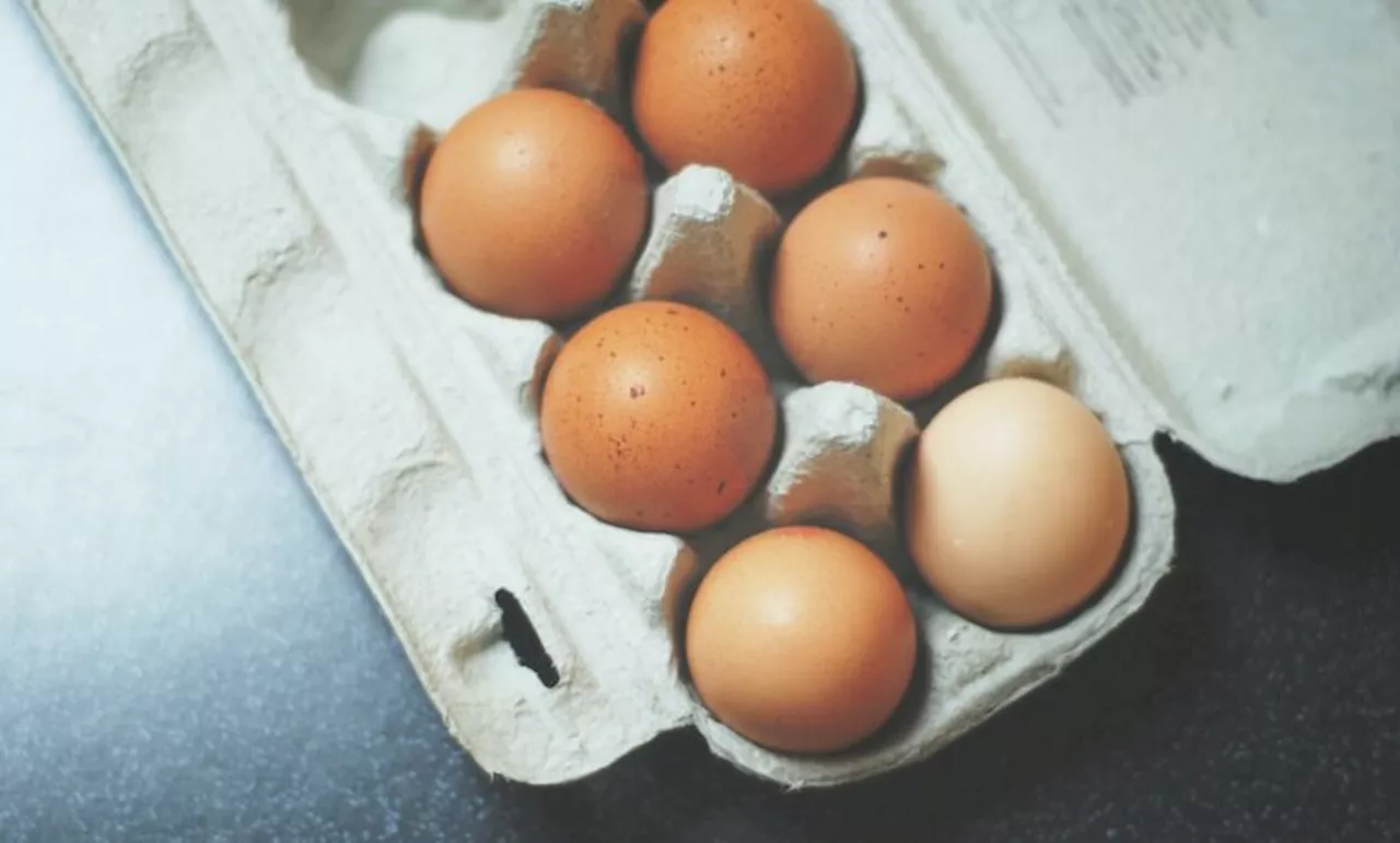 Eggs price hike causes shockwaves among South Africans