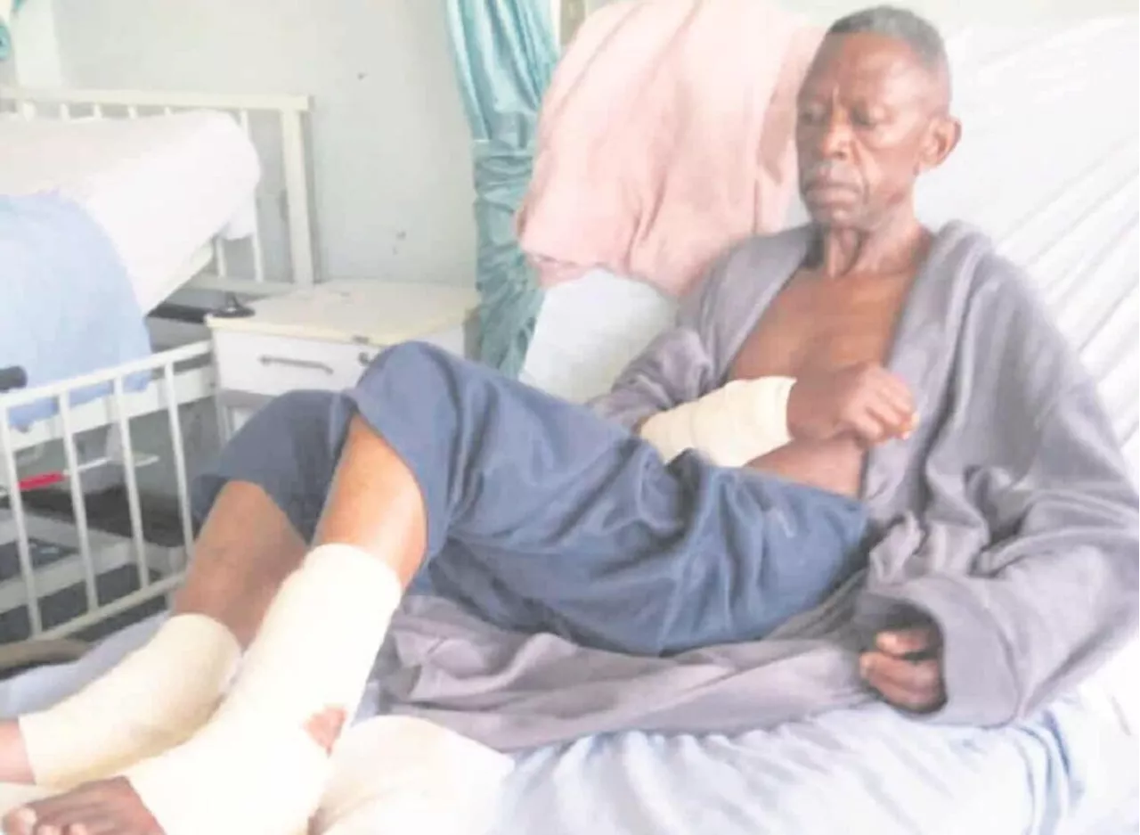 Pensioner mauled by two pit bulls in KZN