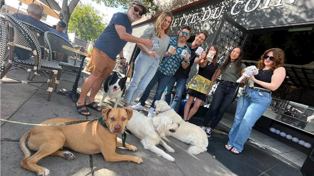 'Pet Mugs' on mugs: Coffee shop immortalizes popular pups on coffee cups