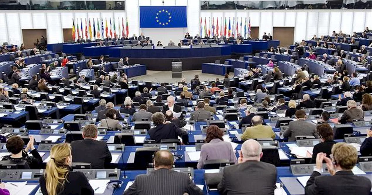 EU Elections 2024: Full Speed Or Full Stop?