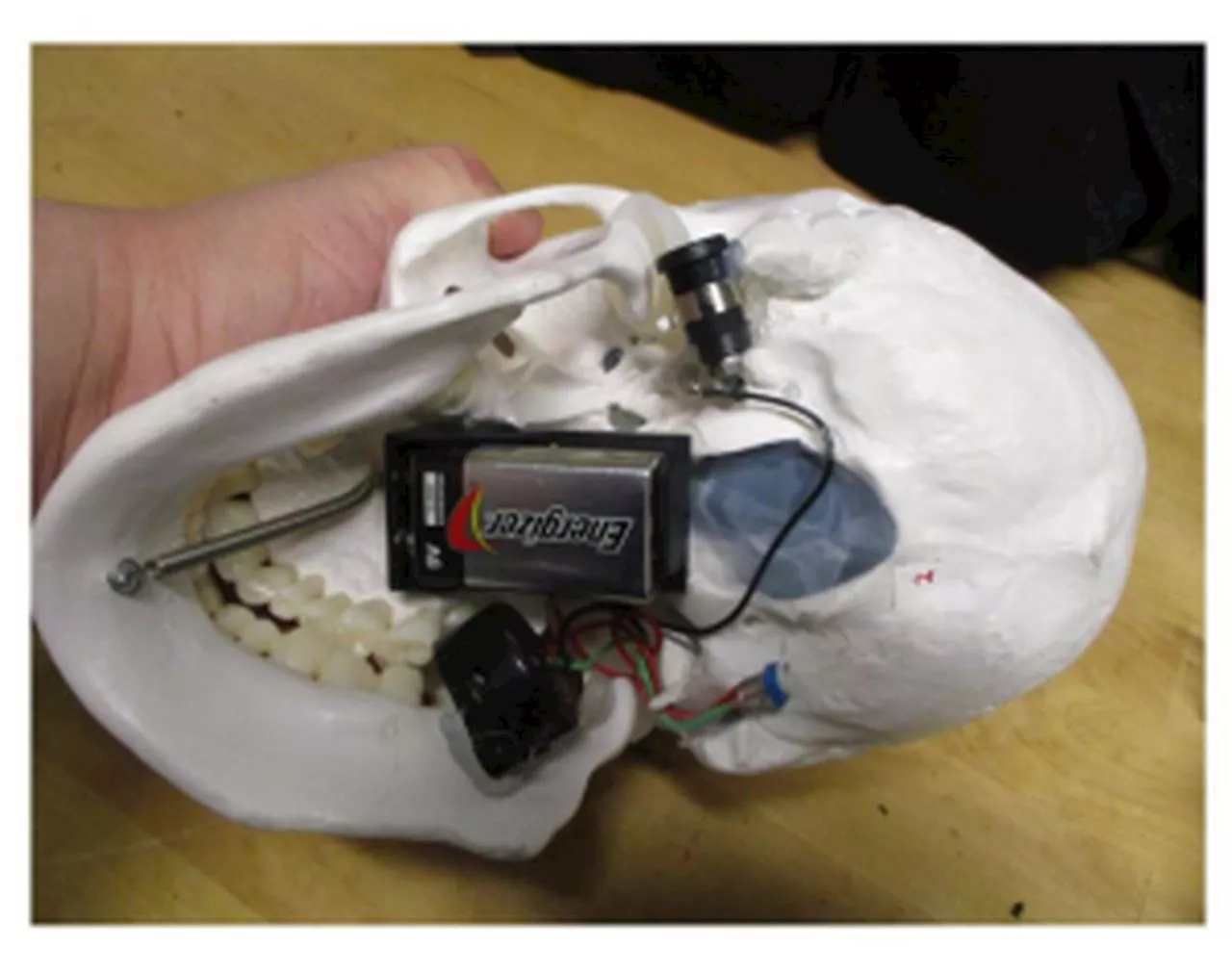 A plastic skull brings baggage screening to a halt at Salt Lake City Airport