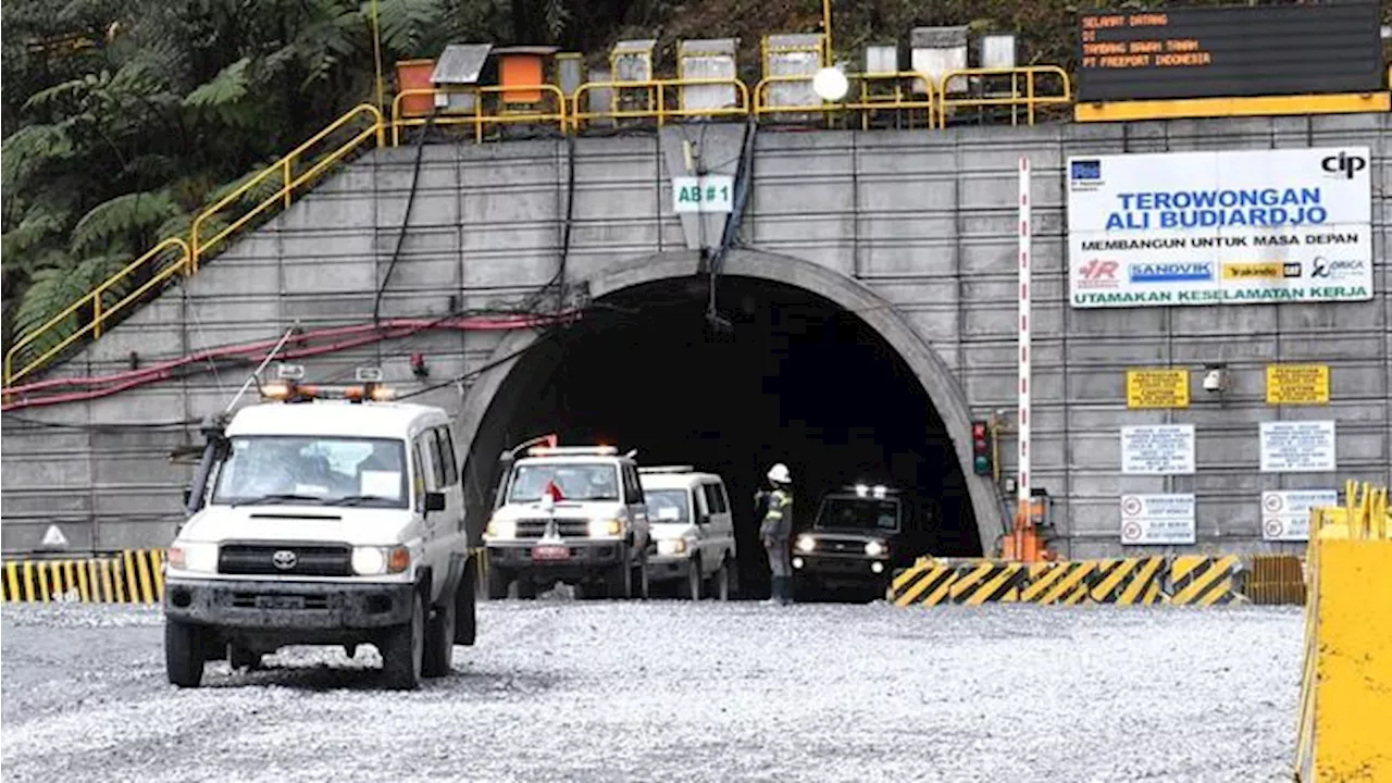 Kabar Baik Buat Fresh Graduate, Freeport Indonesia Buka Banya