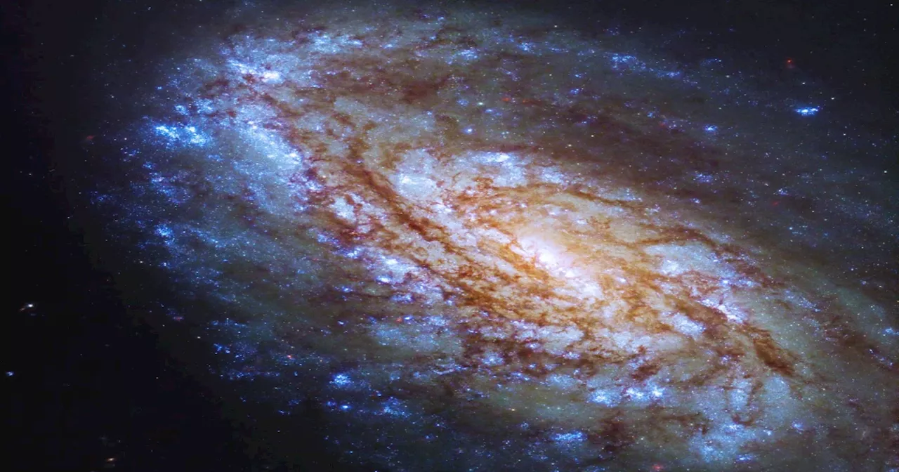 NASA releases stunning new images for Hubble telescope's 'galaxy week'