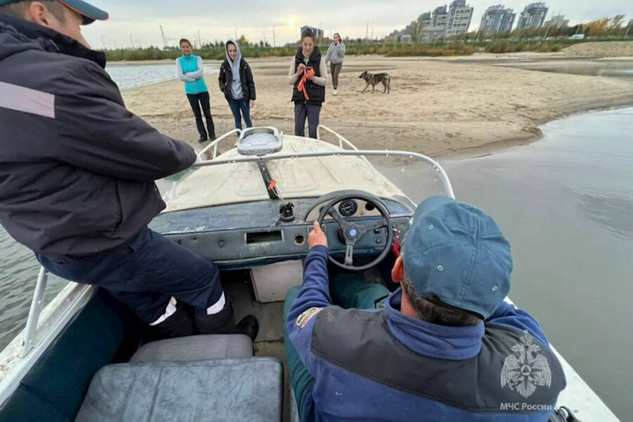 Жители Казани приняли сгоревшее бревно на реке за собаку и вызвали МЧС - Газета.Ru | Новости